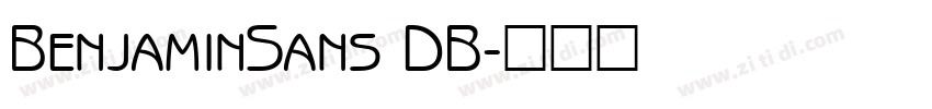 BenjaminSans DB字体转换